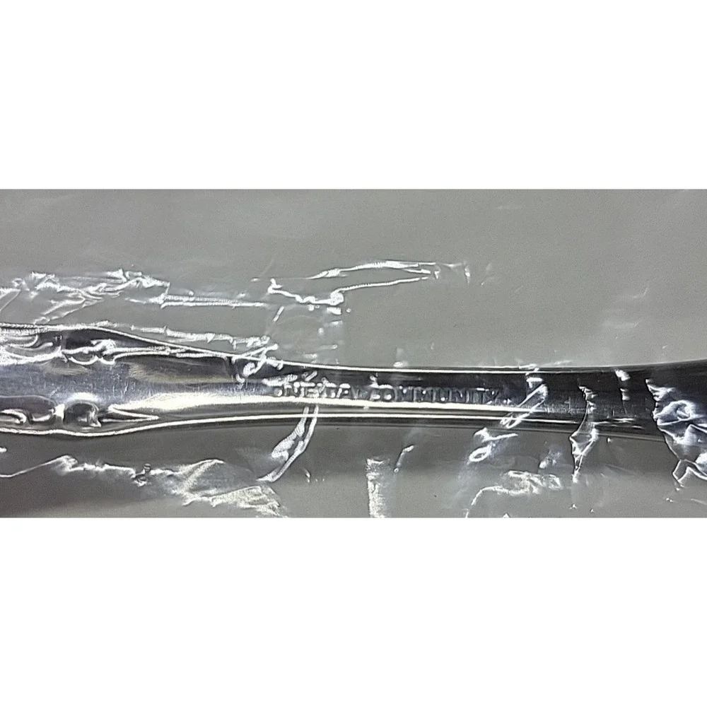 New Oneida Community Brahms Serving Spoon Stainless Steel 9